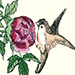 Kiyoshi Takizawa Gallery